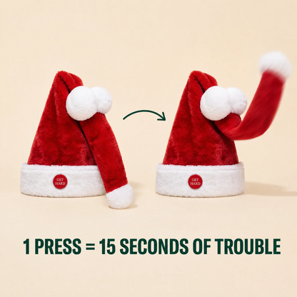 Funny Christmas Hat
